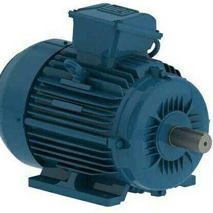 Single Phase Electric Motors 