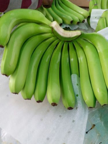 Farm Fresh Cavendish Banana