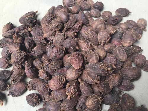 Available In Different Color Certified Organic Large Cardamom