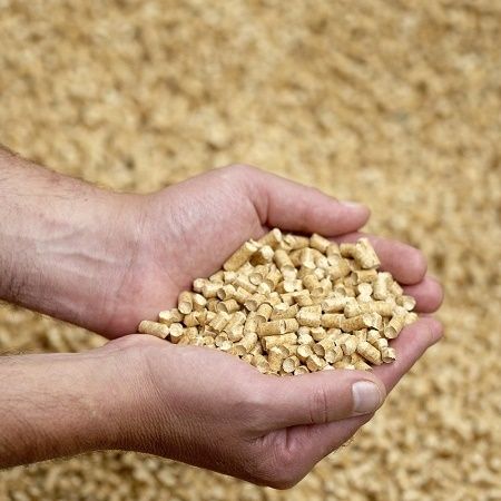 Effective Biomass Wood Pellets (6mm- 8mm)