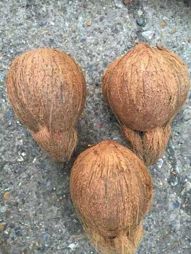 Farm Fresh Husked Coconut