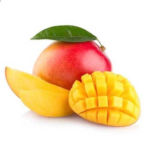fresh kesar mangoes