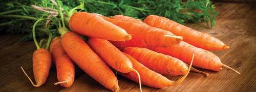 Fresh Red Sweet Carrot