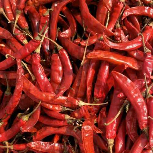 Natural Dried Red Chillies