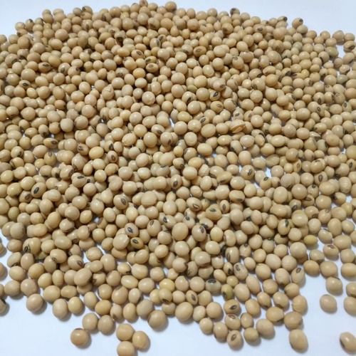 Farm Fresh Soy Bean