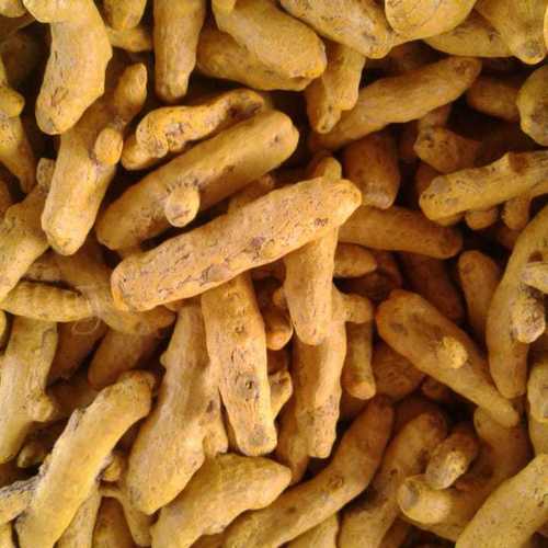 Natural Dried Turmeric Finger