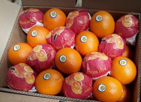 Valencia Organic Fresh Orange