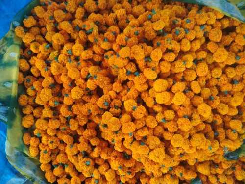 Natural Fresh Marigold Flower