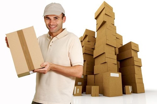 Packing And Moving Service By Apollo Relocations Regd.