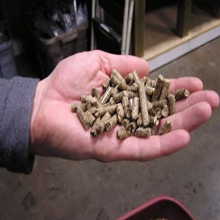 Quality Confirmed Wood Pellets