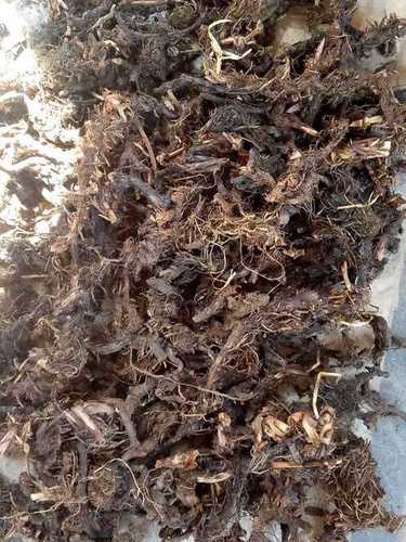 Quality Tested Nagarmotha Roots