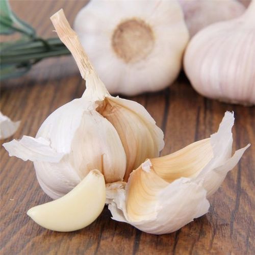 Farm Fresh Indian Garlic