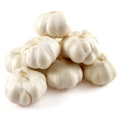 Fresh Organic White Garlic