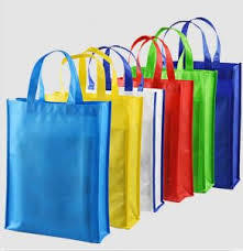 Non Woven Carry Bag