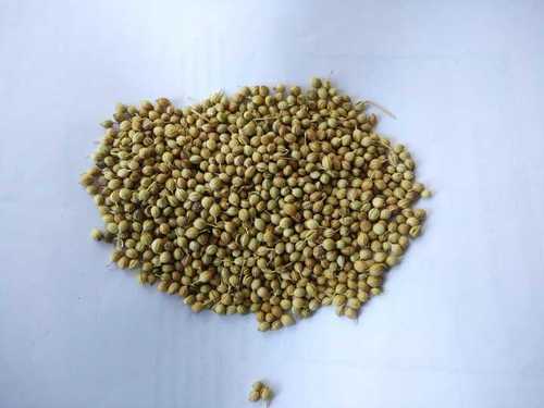 Organic Pure Coriander Seeds