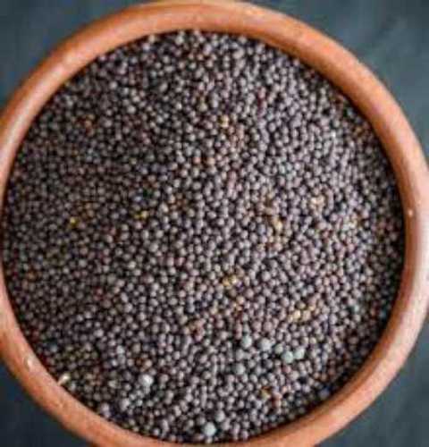 Pure Black Mustard Seeds