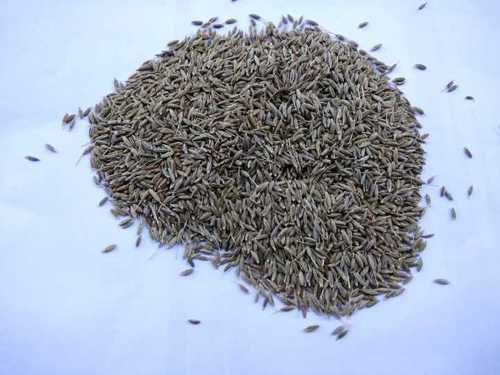Pure Organic Cumin Seed