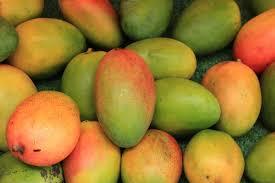 Fresh And Juicy Mango 