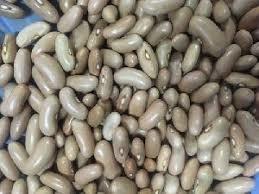 Black Impurity Free Anupama Beans