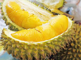 Soft Yellow Fresh Durian
