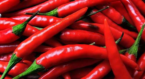 Whole Fresh Red Chilli
