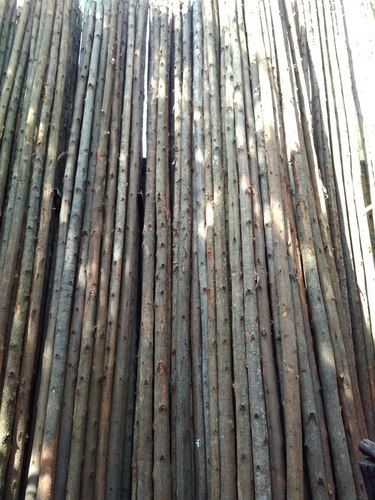 Different Size Wooden Poles