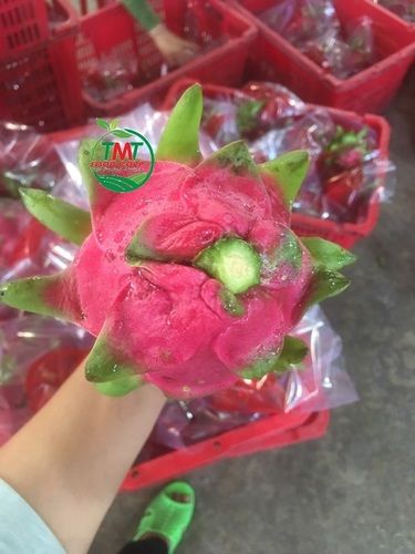 Best Taste Dragon Fruit