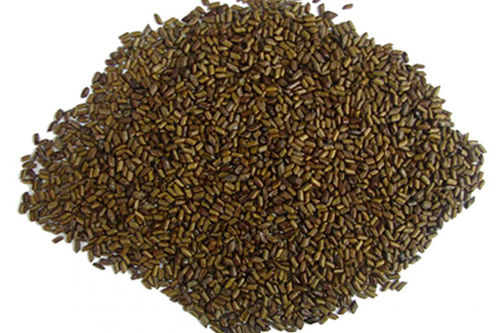 Brown Cassia Tora Seeds (Senna Tora)