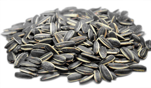 Dried Organic Sunflower Seeds