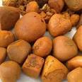 Brown Iso Certified Ox Gallstones