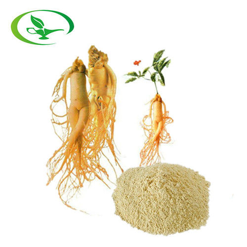 Natural Herbs Plant Extract Panax Ginseng Extract