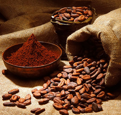 P.e. Extract Powdered Cocoa Bean