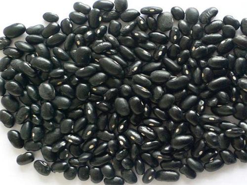 Unadulterated Black Kidney Bean Grade: High