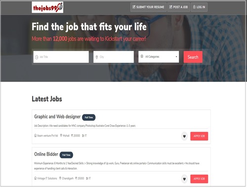 Job Portal Website Services