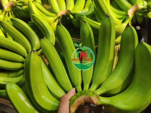 Green Vietnam Origin Fresh Cavendish Banana