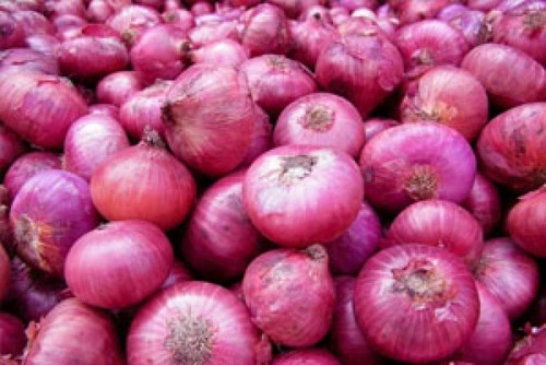 Indian Fresh Red Small Onion
