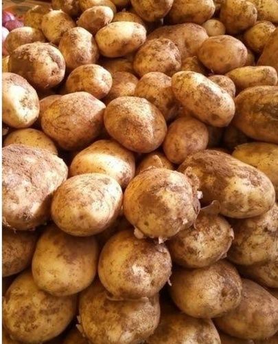 Farm Fresh Yellow Potato