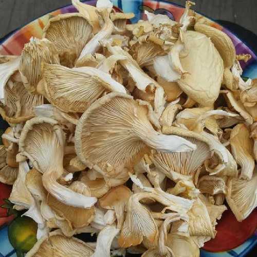 Organic Dried Oyster Mushroom - Handpicked, White Brown Color | Nutritious, Hygienically Processed, No Additives