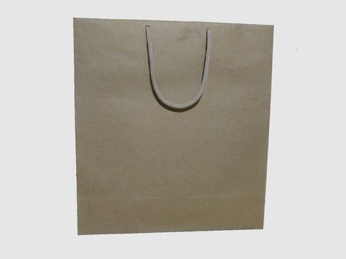 Plain Brown Paper Bag