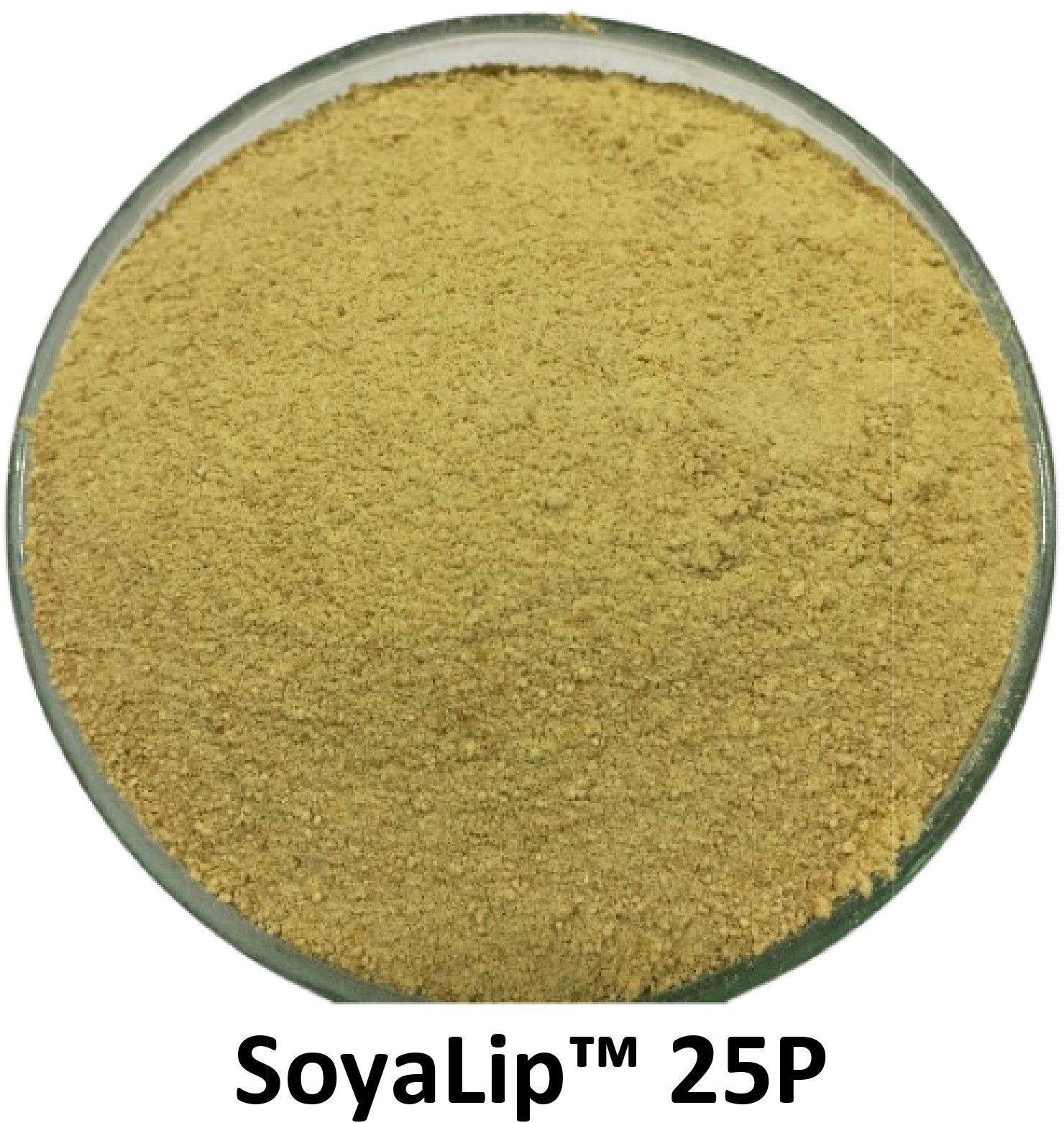 Yellow Pure Soya Lecithin Powder