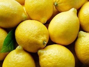 Farm Fresh Yellow Lemon - Glossy and Natural Green Yellow, 65-163 Size Range | Fresh Maturity, High Humidity Storage, Salty Taste