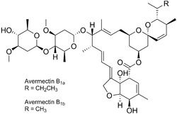 Abamectin For Pharma