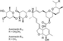  फार्मा के लिए एबामेक्टिन 