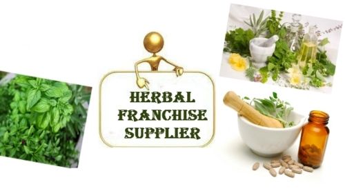 Herbal Pcd Pharma Franchise