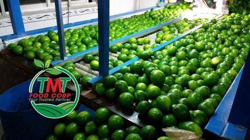 Pure and Fresh Seedless Lime