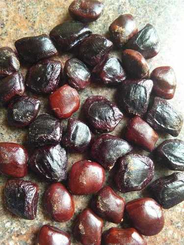 Pure Indian Tamarind Seeds