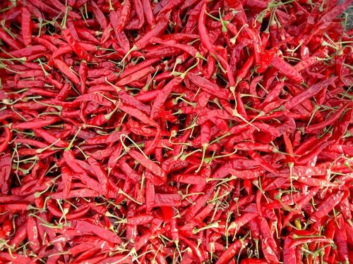 Dry Red Chilli (Raw)