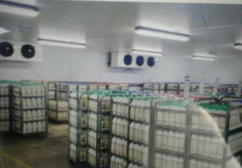 Industrial Cold Storage Room 