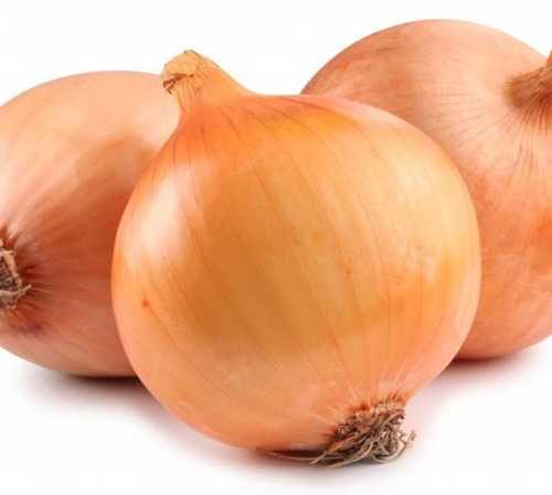 Quality Tested Yellow Onion