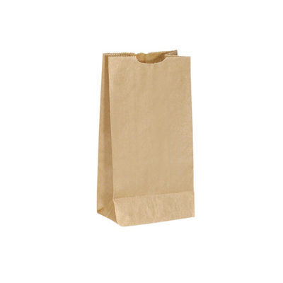 Brown Reusable Paper Bag